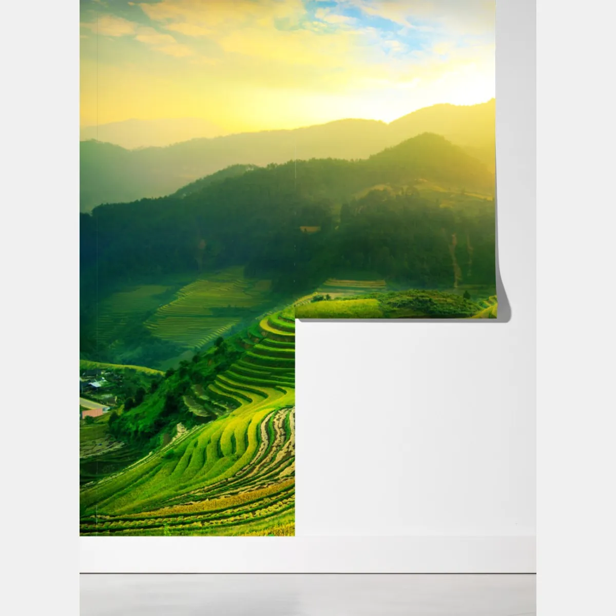 Fototapeta złote tarasy ryżowe o wschodzie słońca – Wallissimo® Fototapeta złote tarasy ryżowe o wschodzie słońca – Wallissimo®