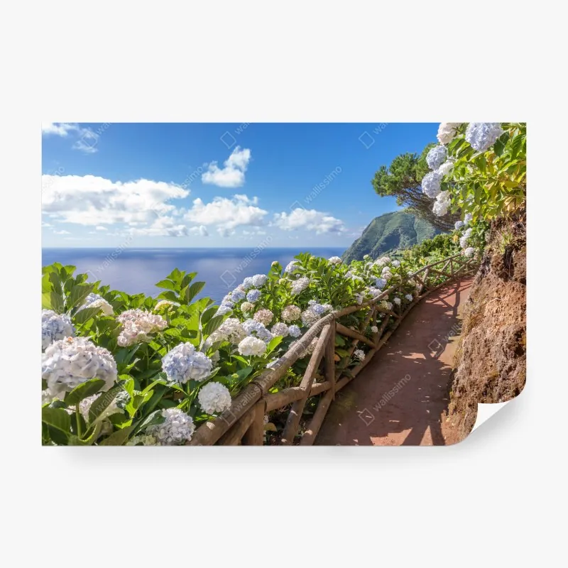 Fototapeta mglisty leśny szlak – Wallissimo®