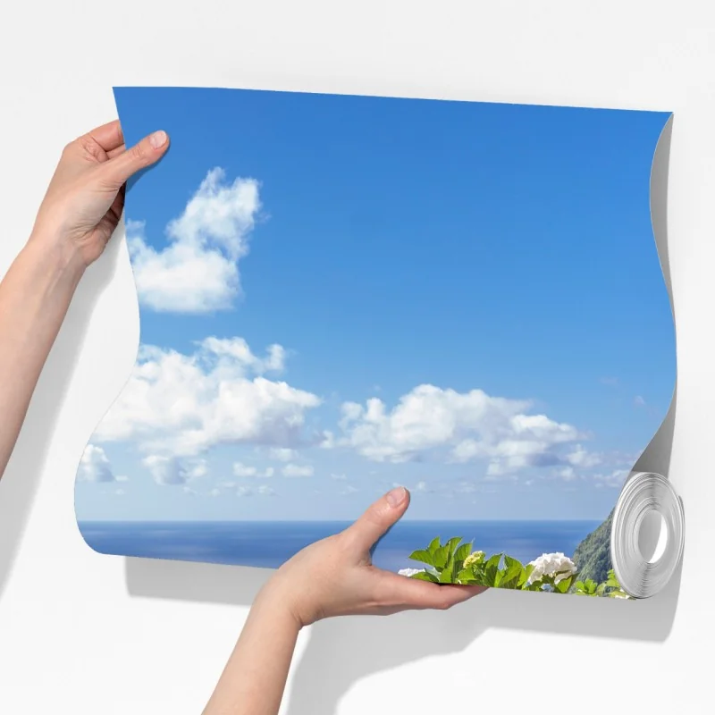 Fototapeta ścieżka nadmorska z hortensjami, São Miguel, Azory – Wallissimo® Fototapeta ścieżka nadmorska z hortensjami, São Miguel, Azory – Wallissimo®