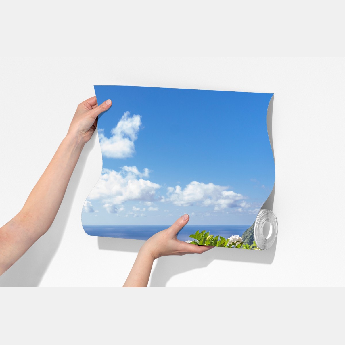 Fototapeta ścieżka nadmorska z hortensjami, São Miguel, Azory – Wallissimo® Fototapeta ścieżka nadmorska z hortensjami, São Miguel, Azory – Wallissimo®