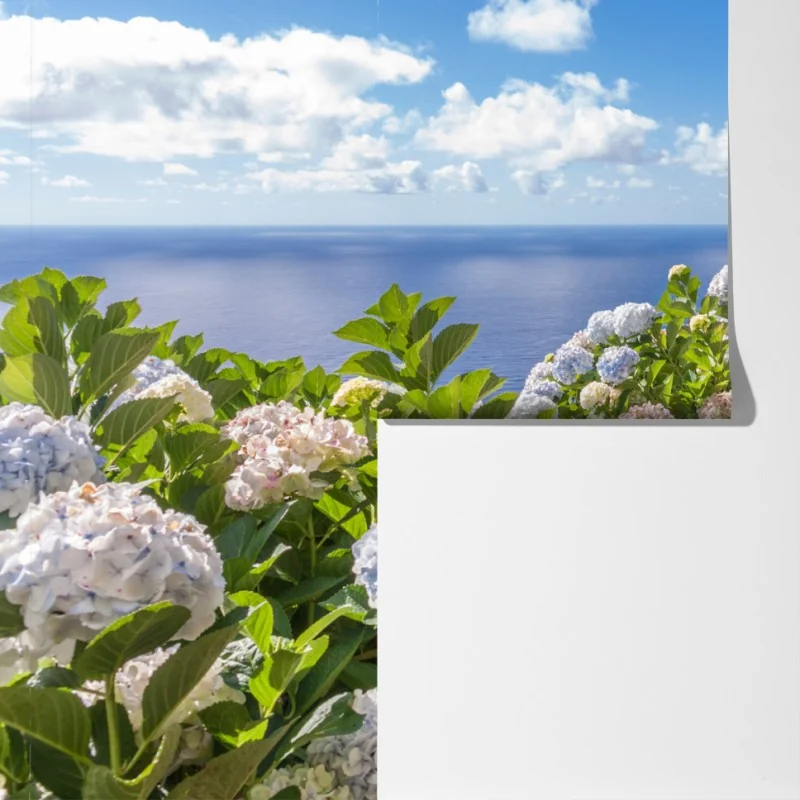Fototapeta ścieżka nadmorska z hortensjami, São Miguel, Azory – Wallissimo® Fototapeta ścieżka nadmorska z hortensjami, São Miguel, Azory – Wallissimo®