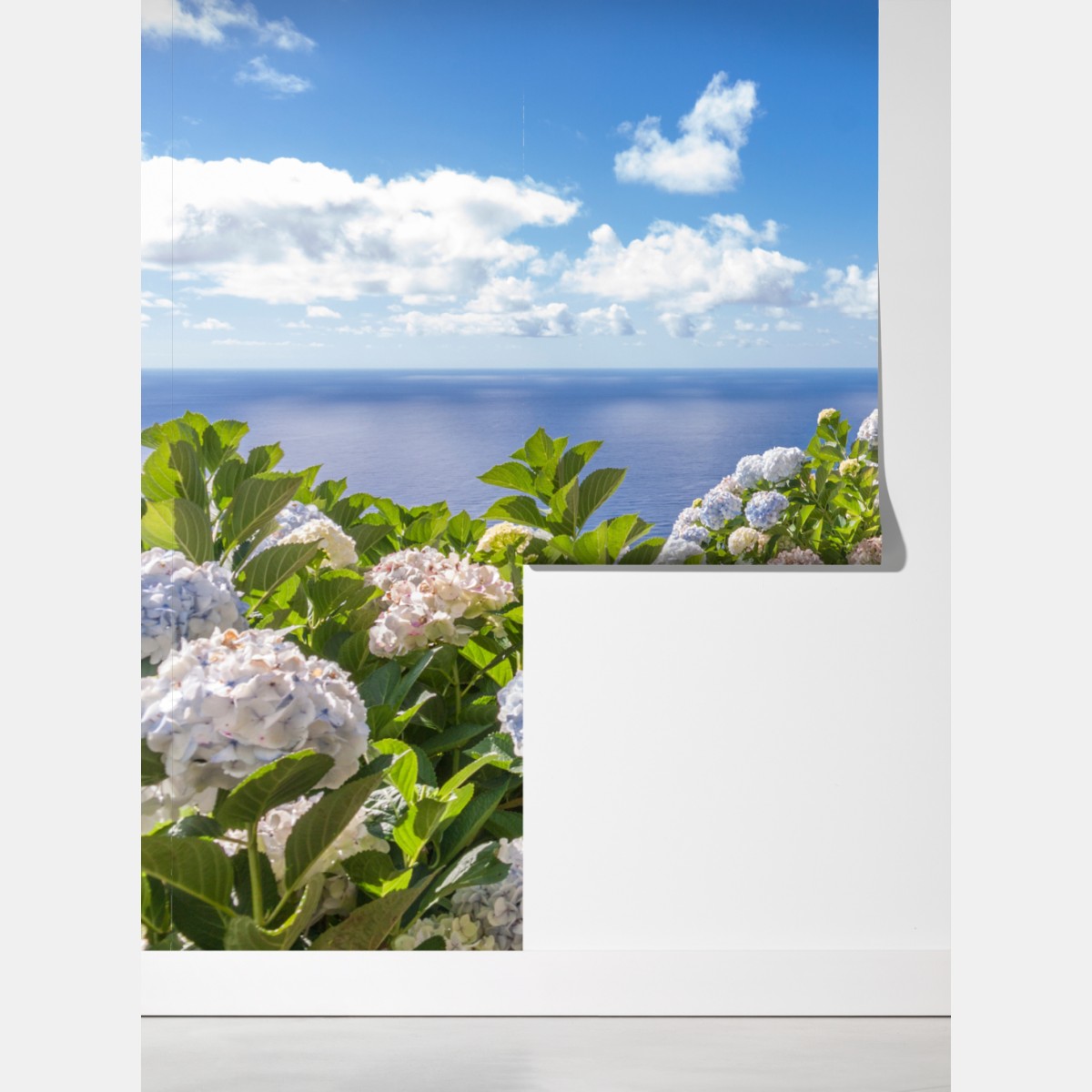 Fototapeta ścieżka nadmorska z hortensjami, São Miguel, Azory – Wallissimo® Fototapeta ścieżka nadmorska z hortensjami, São Miguel, Azory – Wallissimo®