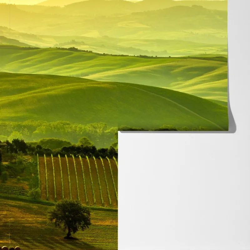 Fototapeta Toskania zielone wzgórza – Wallissimo® Fototapeta Toskania zielone wzgórza – Wallissimo®