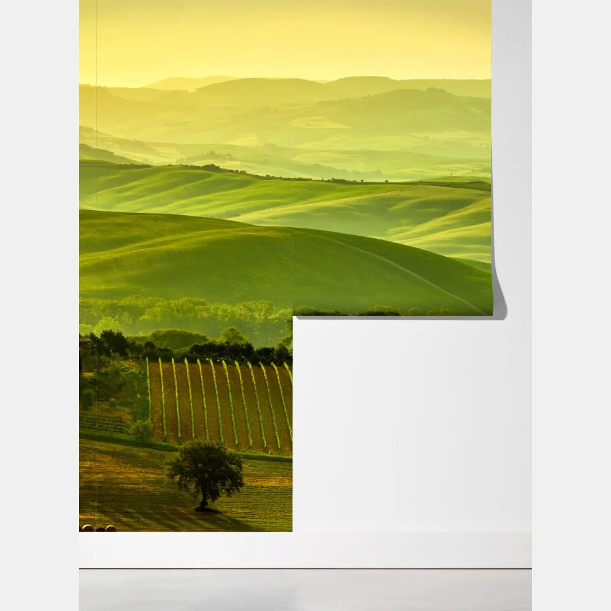 Fototapeta Toskania zielone wzgórza – Wallissimo® Fototapeta Toskania zielone wzgórza – Wallissimo®