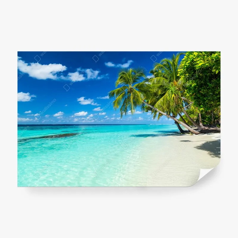 Fototapeta vintage tropikalny wzór z zebrą i hibiskusem – Wallissimo®