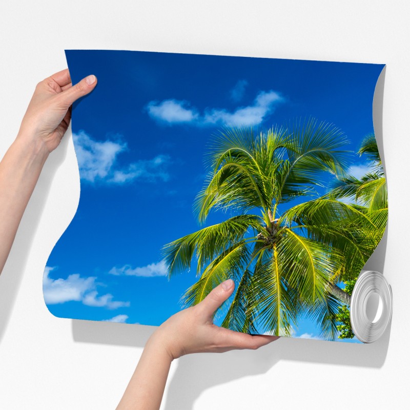 Fototapeta tropikalna turkusowa plaża z pochylonymi palmami – Wallissimo® Fototapeta tropikalna turkusowa plaża z pochylonymi palmami – Wallissimo®