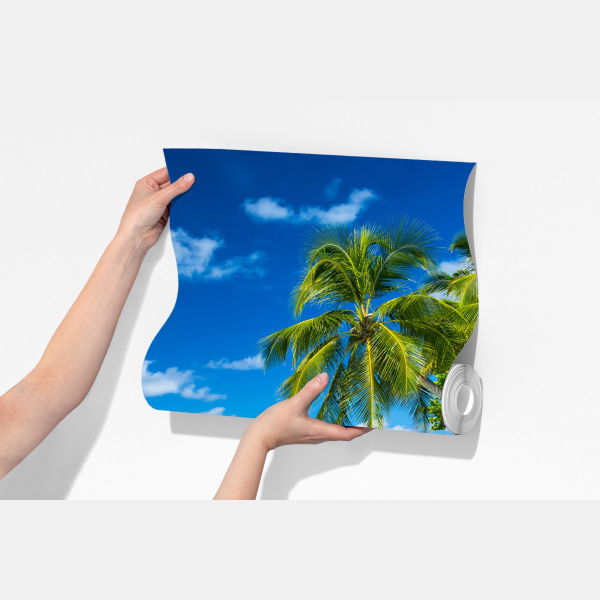 Fototapeta tropikalna turkusowa plaża z pochylonymi palmami – Wallissimo® Fototapeta tropikalna turkusowa plaża z pochylonymi palmami – Wallissimo®