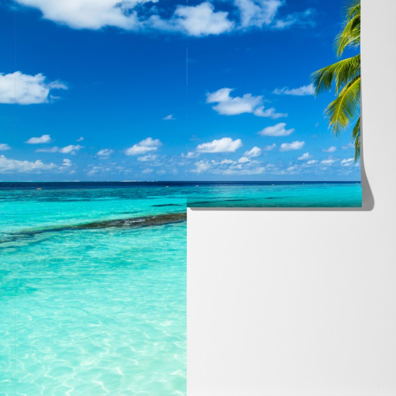 Fototapeta tropikalna turkusowa plaża z pochylonymi palmami – Wallissimo® Fototapeta tropikalna turkusowa plaża z pochylonymi palmami – Wallissimo®
