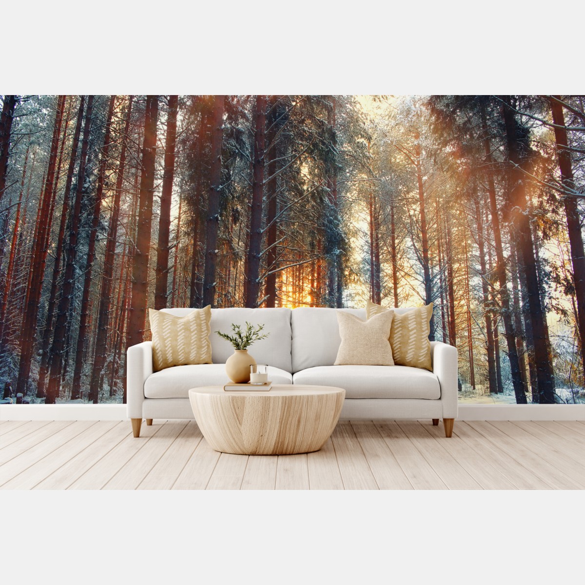 Wall mural winter forest sunrise glow