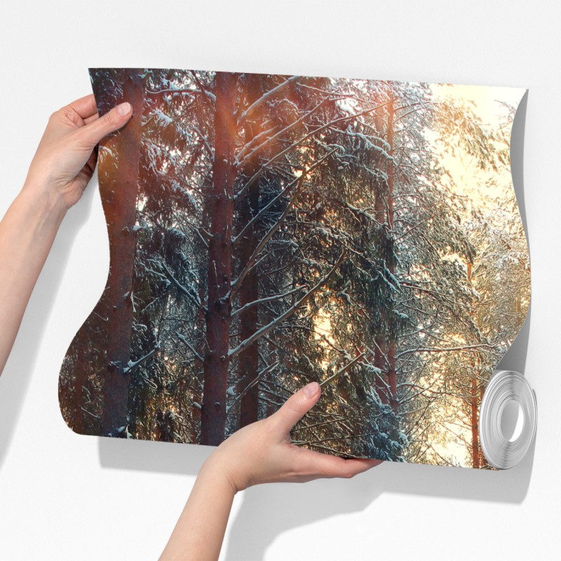 Fototapeta zimowy las o świcie – Wallissimo® Fototapeta zimowy las o świcie – Wallissimo®