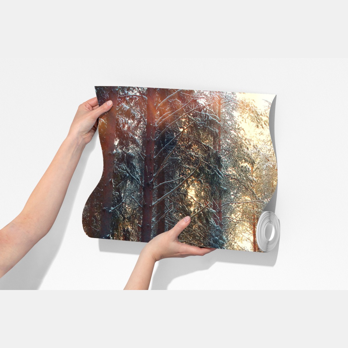 Fototapeta zimowy las o świcie – Wallissimo® Fototapeta zimowy las o świcie – Wallissimo®