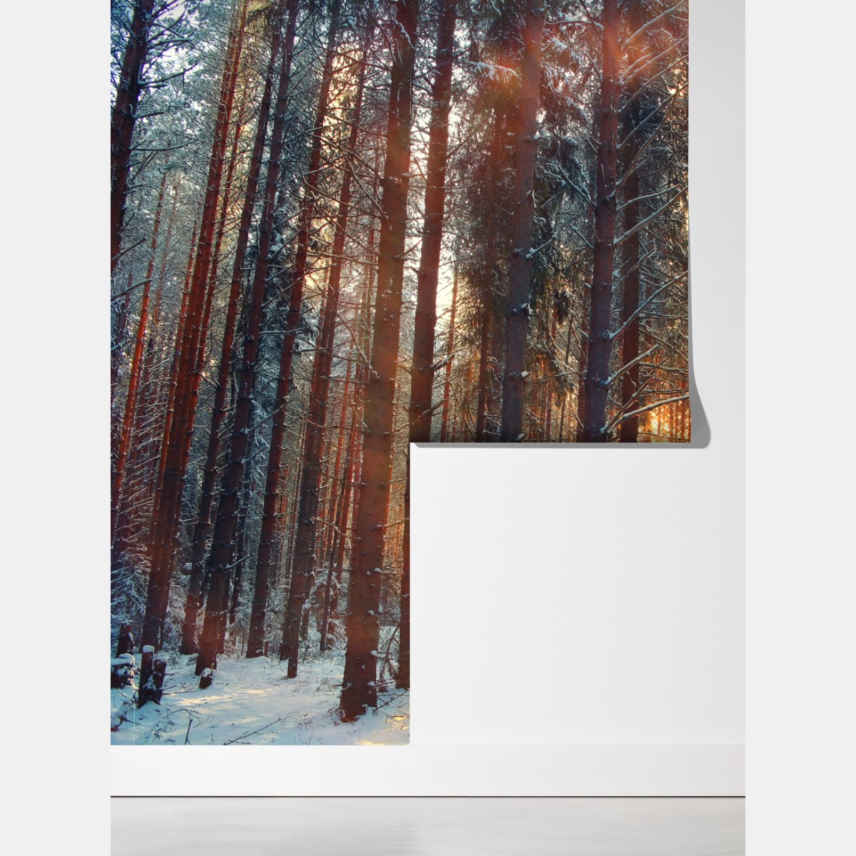 Fototapeta zimowy las o świcie – Wallissimo® Fototapeta zimowy las o świcie – Wallissimo®