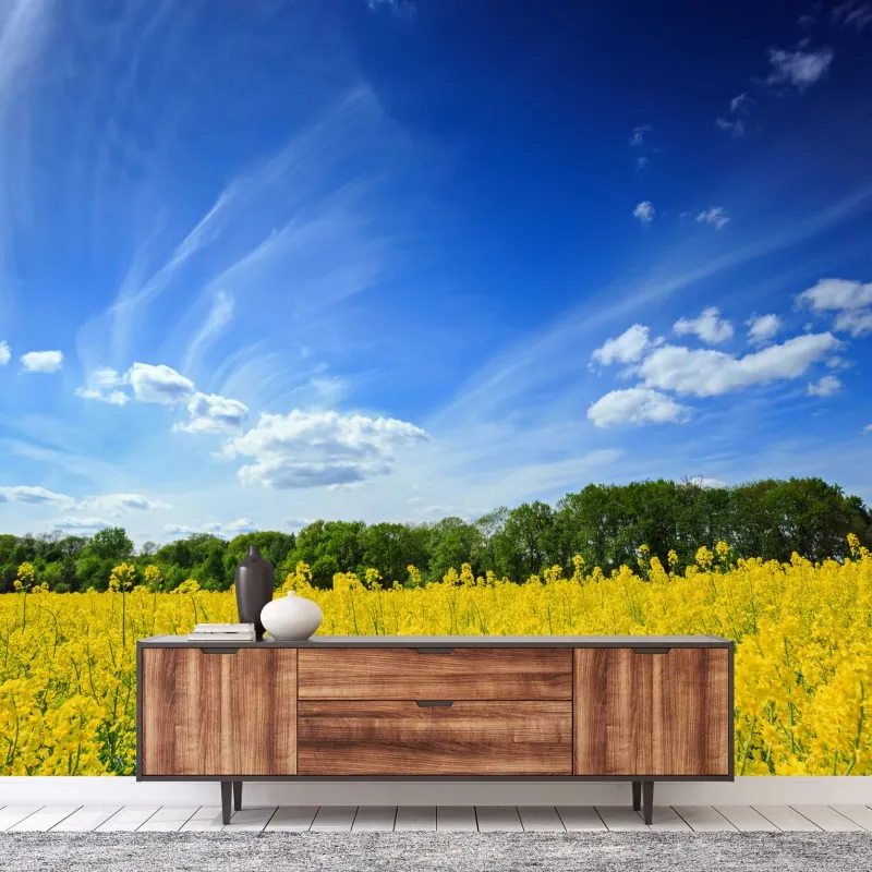 Fototapeta Polskie pole rzepaku pod błękitnym niebem