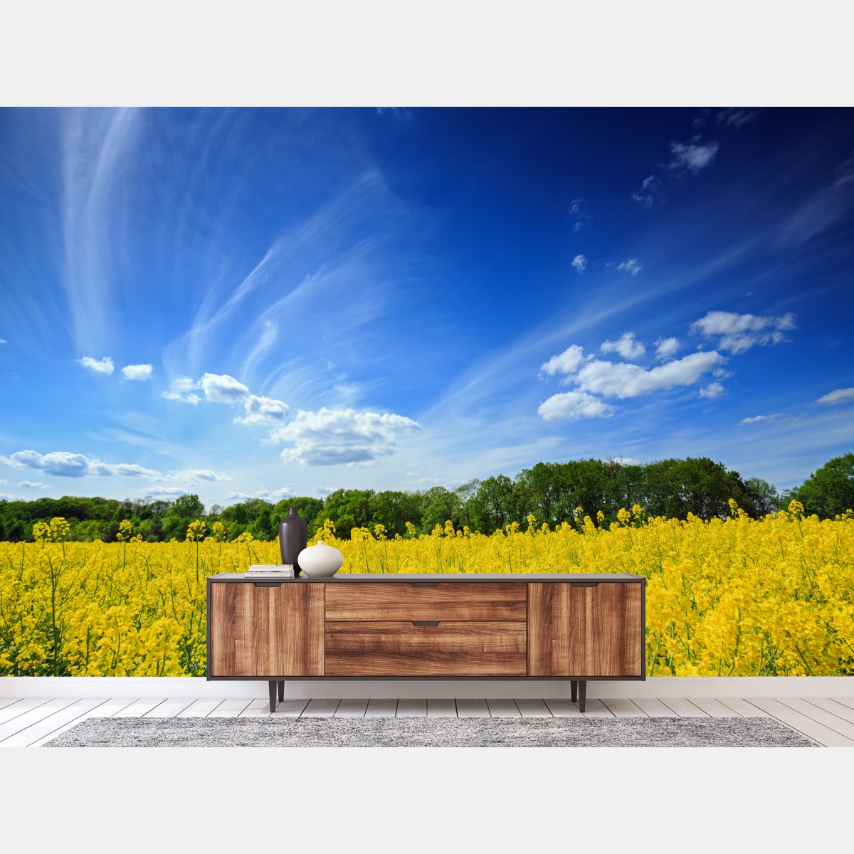 Wall mural Polish rapeseed field under blue sky