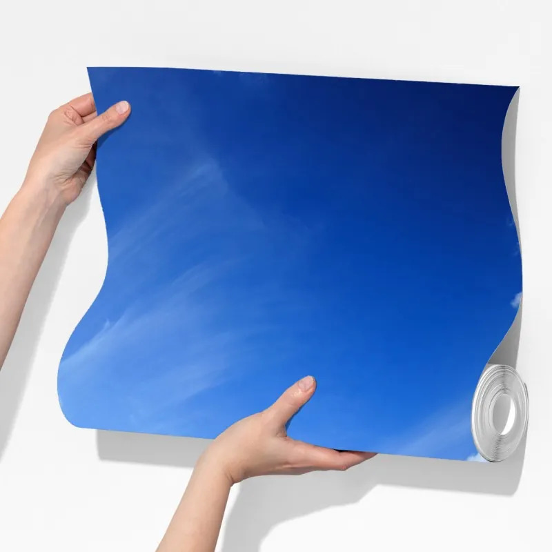 Fototapeta Polskie pole rzepaku pod błękitnym niebem – Wallissimo® Fototapeta Polskie pole rzepaku pod błękitnym niebem – Wallissimo®