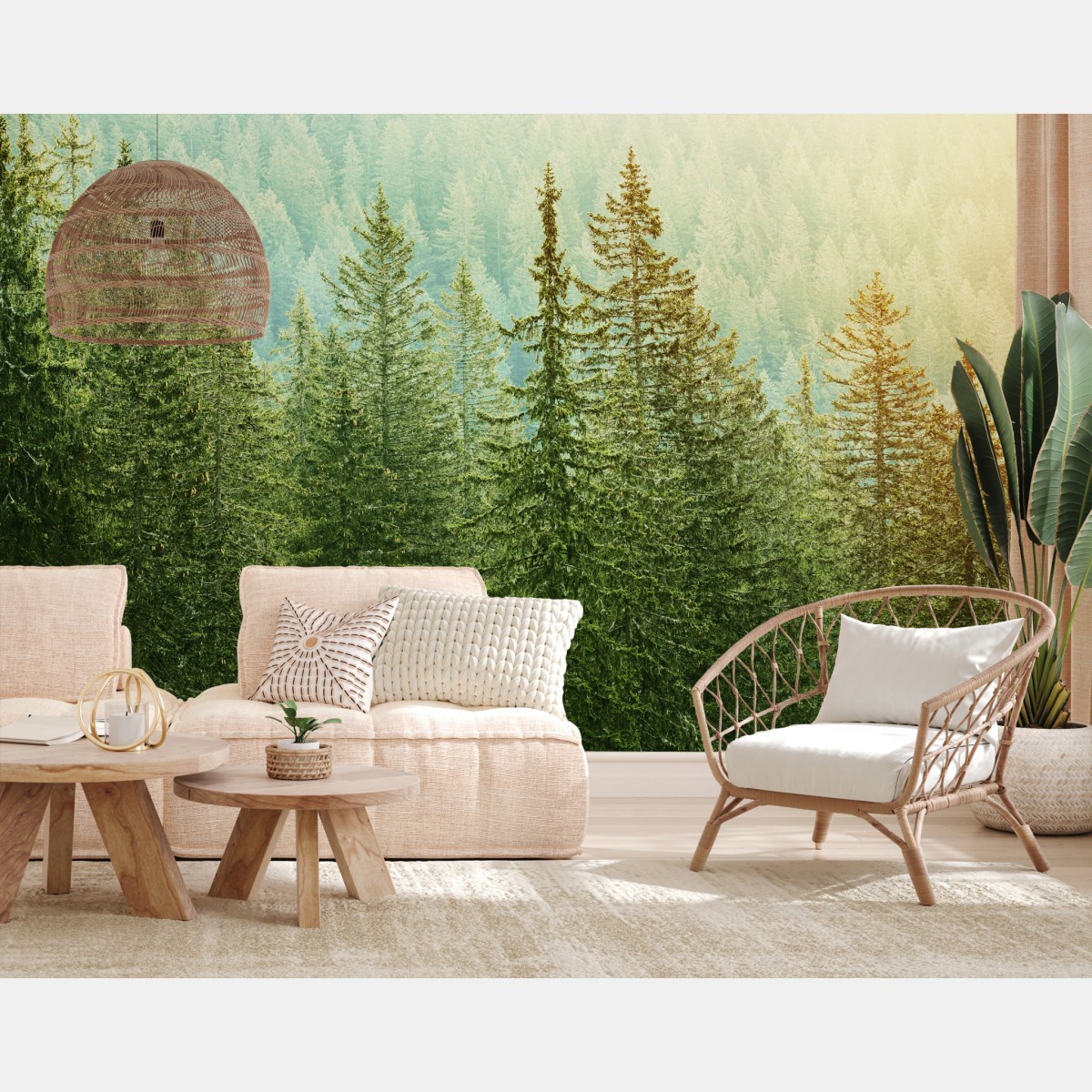 Wall mural sunlit evergreen forest