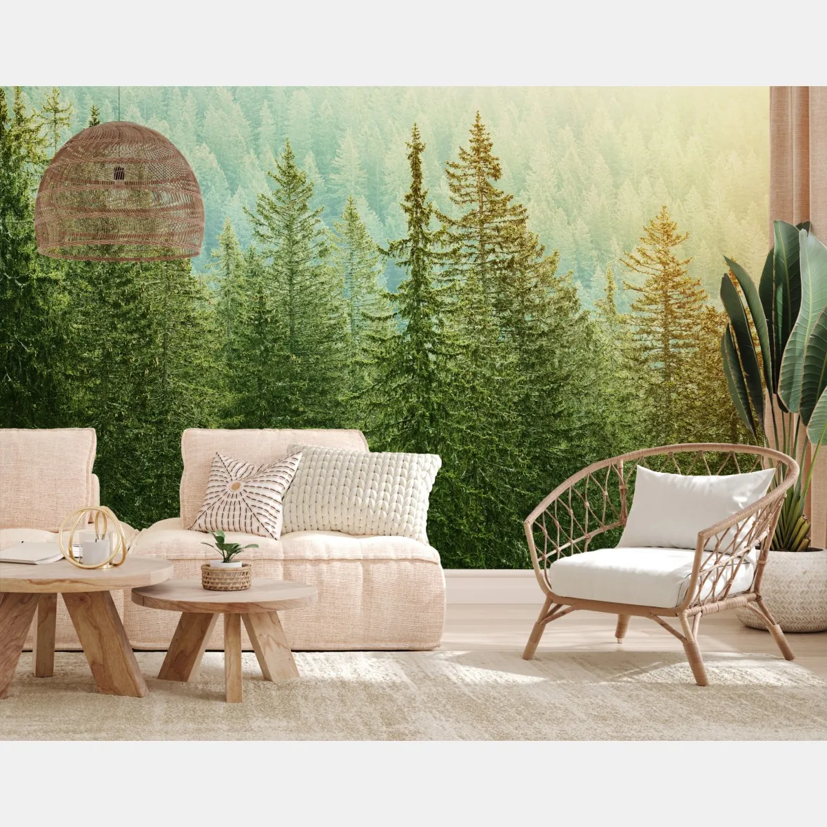 Fototapeta słoneczny las iglasty – Wallissimo® Fototapeta słoneczny las iglasty – Wallissimo®