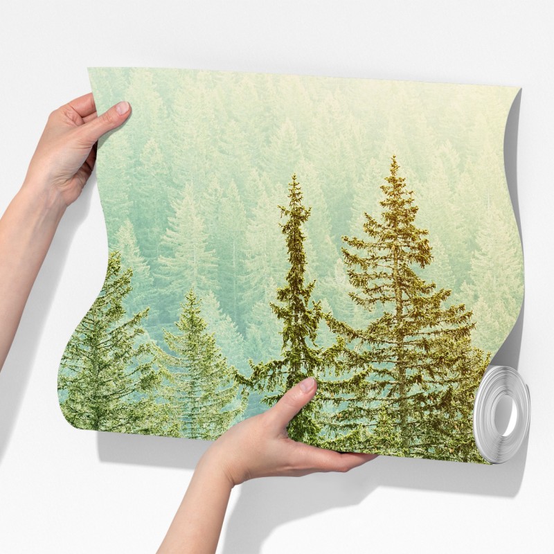 Fototapeta słoneczny las iglasty – Wallissimo® Fototapeta słoneczny las iglasty – Wallissimo®