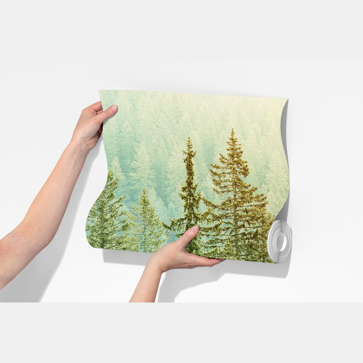 Fototapeta słoneczny las iglasty – Wallissimo® Fototapeta słoneczny las iglasty – Wallissimo®