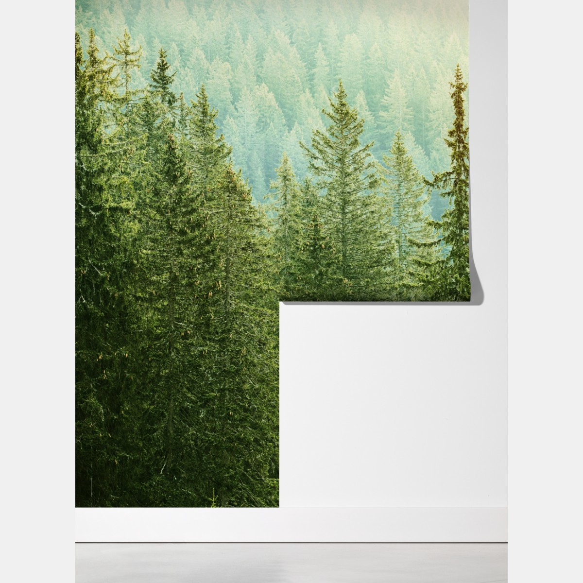 Fototapeta słoneczny las iglasty – Wallissimo® Fototapeta słoneczny las iglasty – Wallissimo®