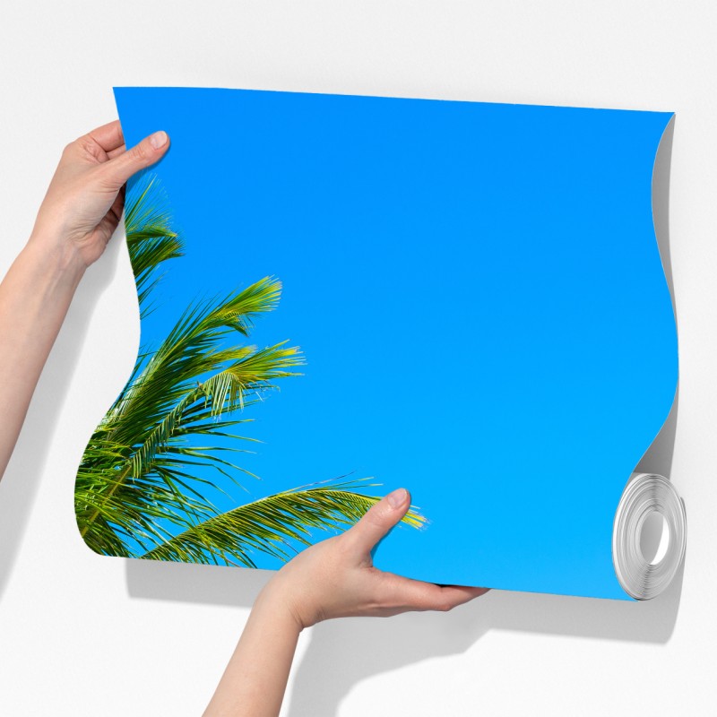 Fototapeta tropikalna palma na białej plaży – Wallissimo® Fototapeta tropikalna palma na białej plaży – Wallissimo®