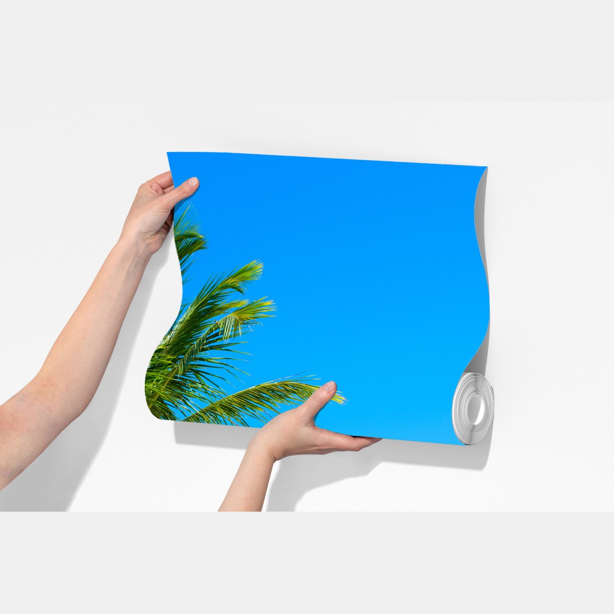 Fototapeta tropikalna palma na białej plaży – Wallissimo® Fototapeta tropikalna palma na białej plaży – Wallissimo®