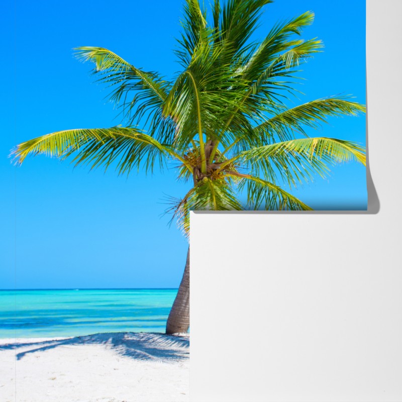 Fototapeta tropikalna palma na białej plaży – Wallissimo® Fototapeta tropikalna palma na białej plaży – Wallissimo®