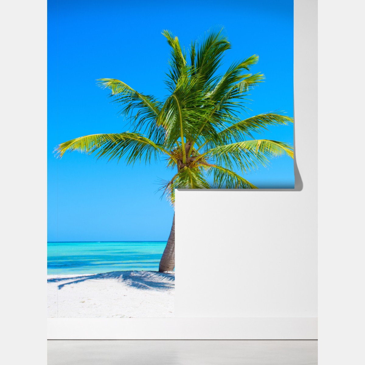 Fototapeta tropikalna palma na białej plaży – Wallissimo® Fototapeta tropikalna palma na białej plaży – Wallissimo®