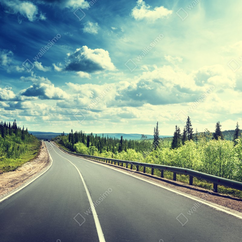 Fototapeta słoneczna leśna droga ku horyzontowi – Wallissimo® Fototapeta słoneczna leśna droga ku horyzontowi – Wallissimo®