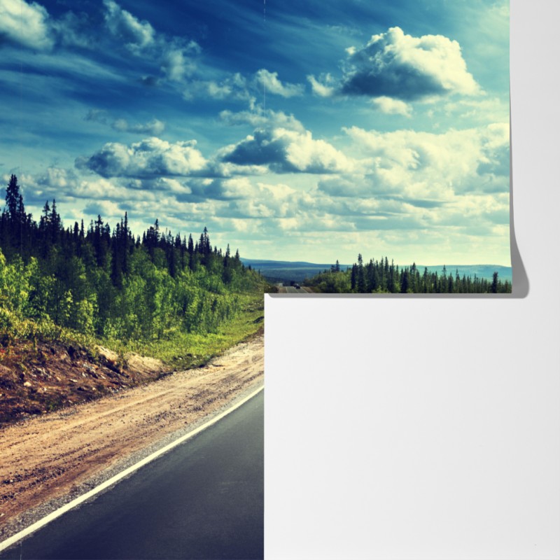 Fototapeta słoneczna leśna droga ku horyzontowi – Wallissimo® Fototapeta słoneczna leśna droga ku horyzontowi – Wallissimo®