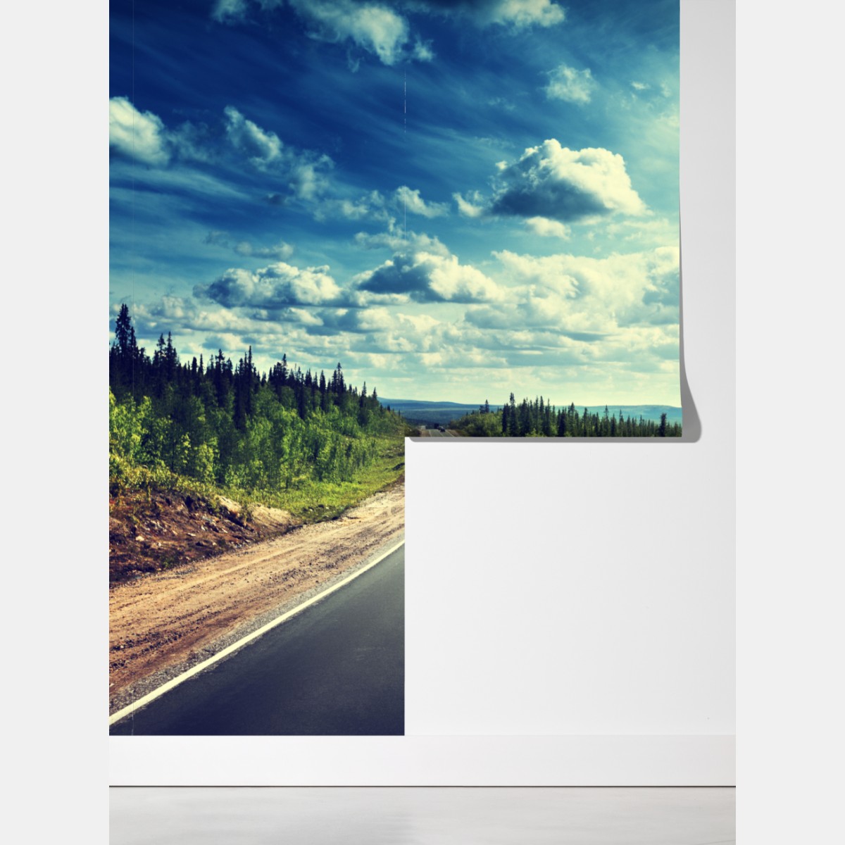 Fototapeta słoneczna leśna droga ku horyzontowi – Wallissimo® Fototapeta słoneczna leśna droga ku horyzontowi – Wallissimo®