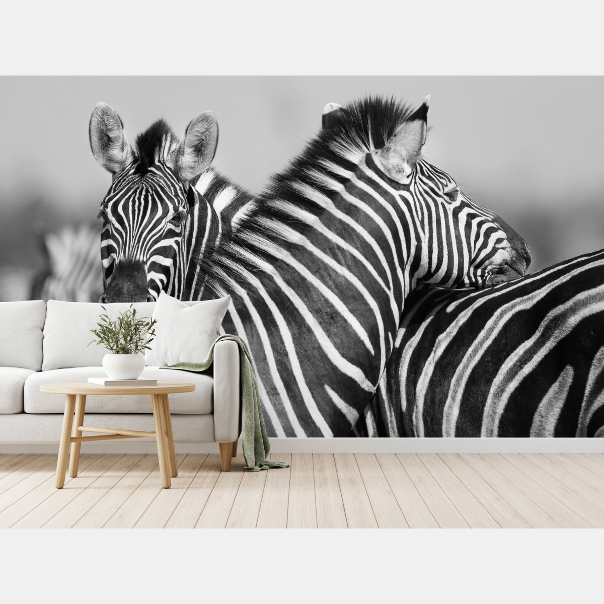 Wall mural intertwined zebras in monochrome