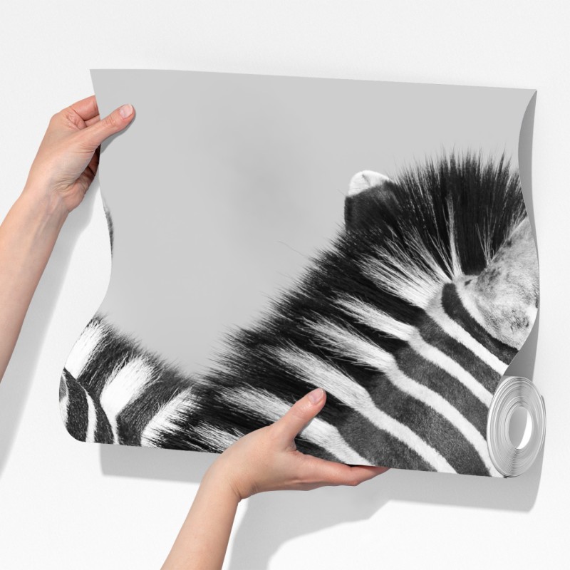 Fototapeta zebry splecione w monochromie – Wallissimo® Fototapeta zebry splecione w monochromie – Wallissimo®