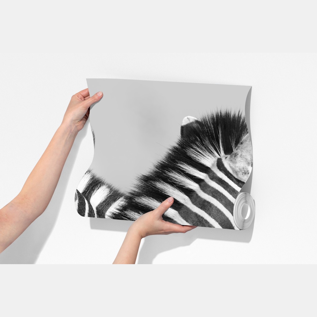 Fototapeta zebry splecione w monochromie – Wallissimo® Fototapeta zebry splecione w monochromie – Wallissimo®