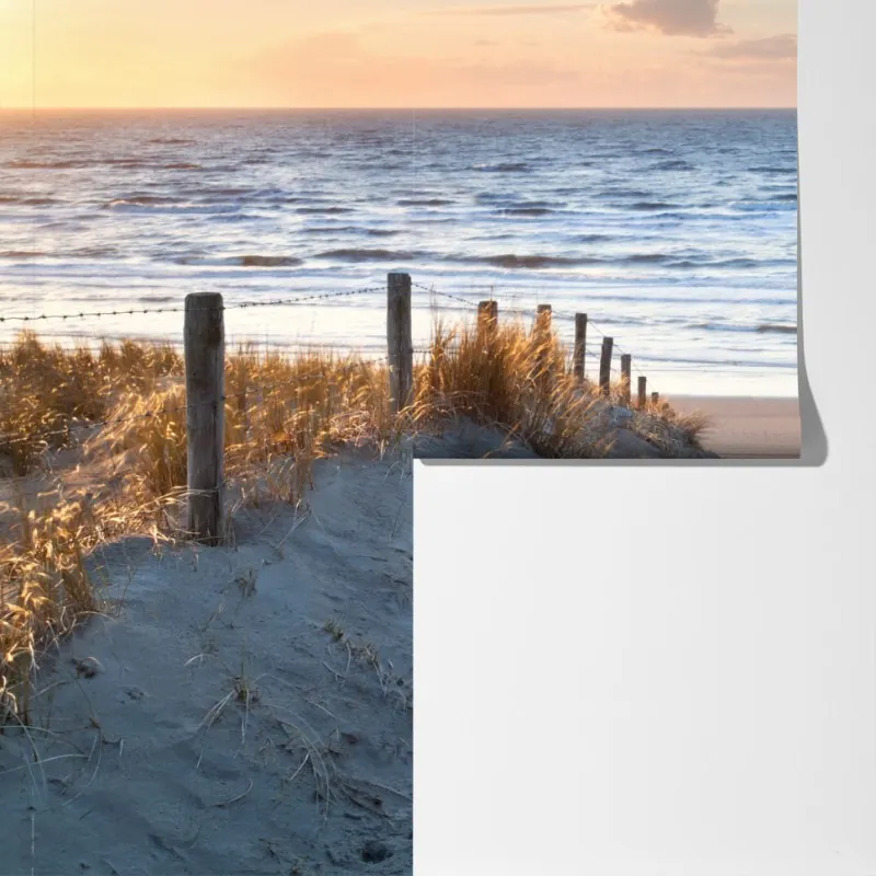 Fototapeta ścieżka o zachodzie słońca nad Morzem Północnym, Holandia – Wallissimo® Fototapeta ścieżka o zachodzie słońca nad Morzem Północnym, Holandia – Wallissimo®