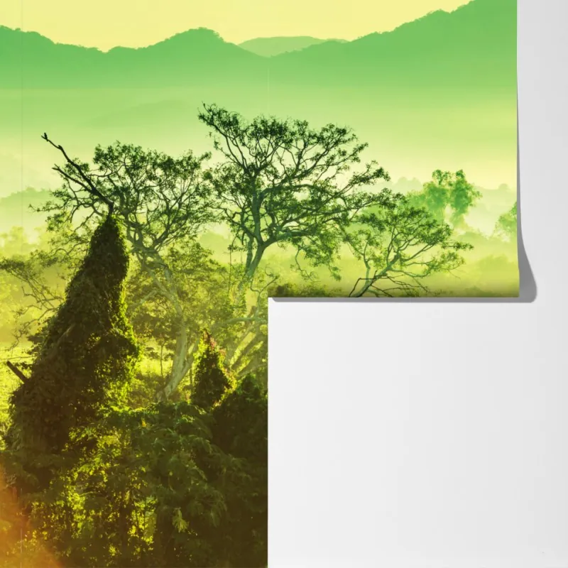 Fototapeta bujny tropikalny krajobraz dżungli – Wallissimo® Fototapeta bujny tropikalny krajobraz dżungli – Wallissimo®