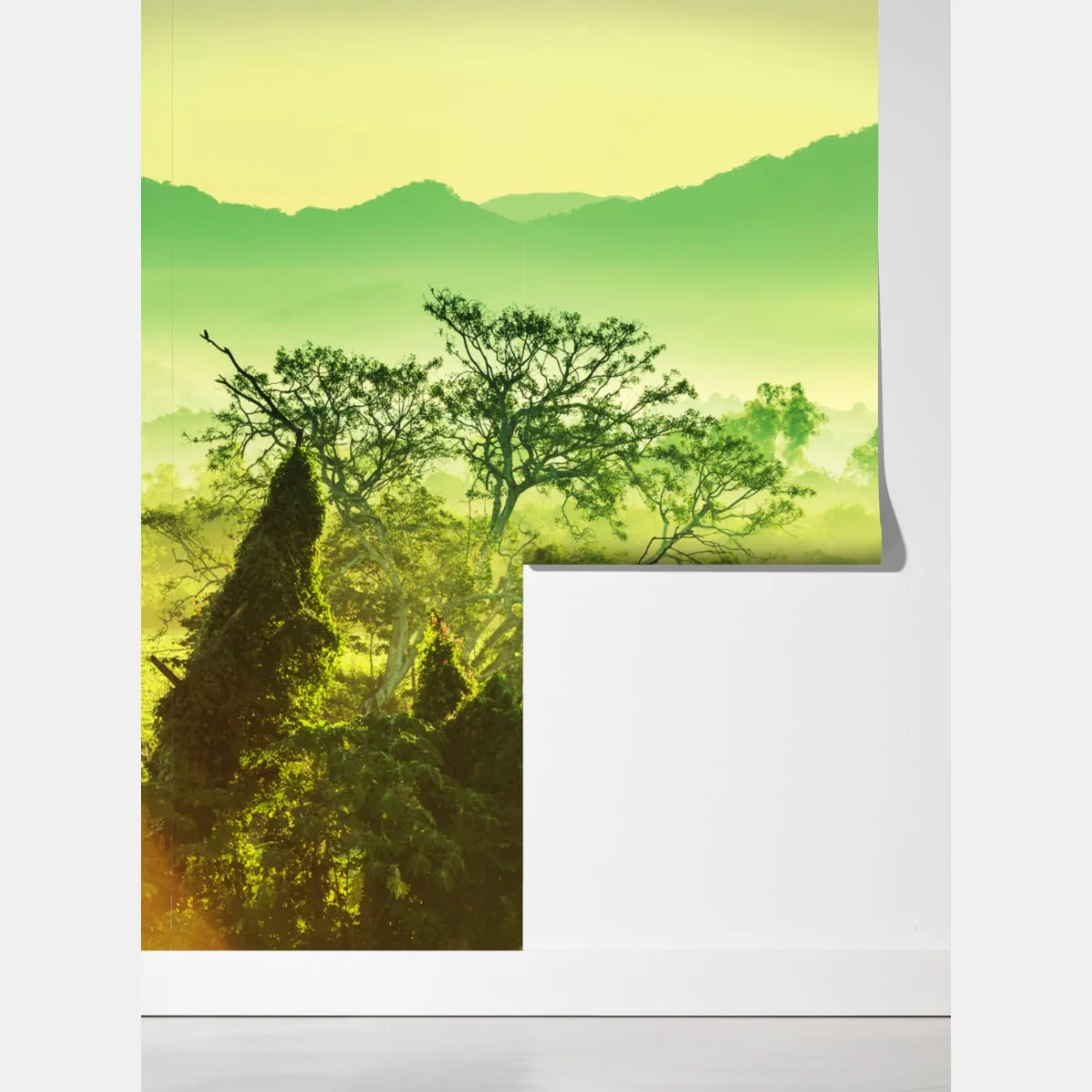 Fototapeta bujny tropikalny krajobraz dżungli – Wallissimo® Fototapeta bujny tropikalny krajobraz dżungli – Wallissimo®