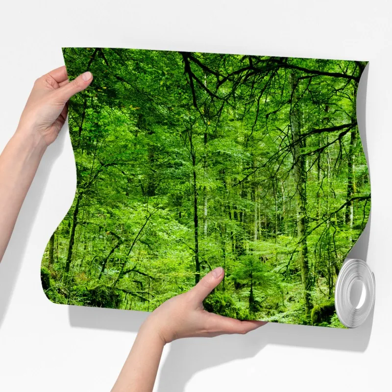 Fototapeta mechowy strumień w lesie – Wallissimo® Fototapeta mechowy strumień w lesie – Wallissimo®