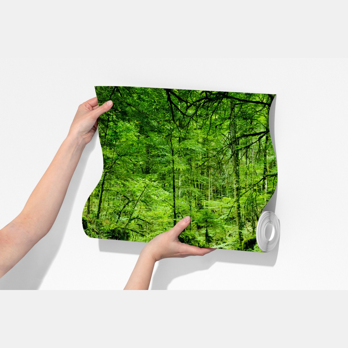 Fototapeta mechowy strumień w lesie – Wallissimo® Fototapeta mechowy strumień w lesie – Wallissimo®