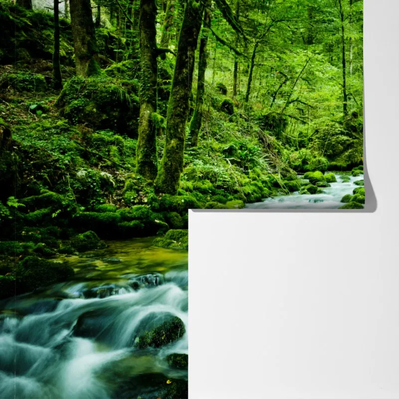 Fototapeta mechowy strumień w lesie – Wallissimo® Fototapeta mechowy strumień w lesie – Wallissimo®