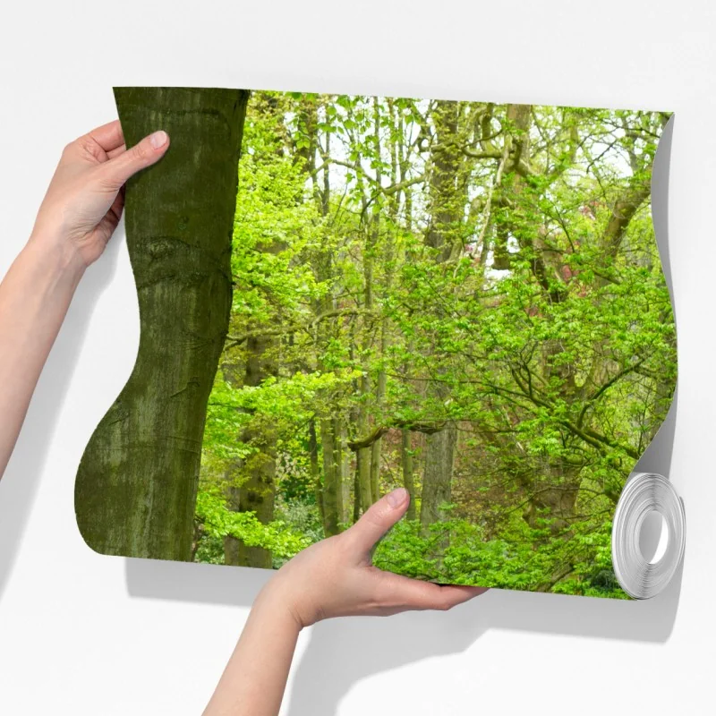 Fototapeta wiosenny ogród tulipanów nad kanałem – Wallissimo® Fototapeta wiosenny ogród tulipanów nad kanałem – Wallissimo®