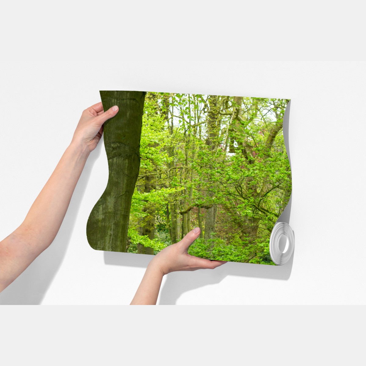 Fototapeta wiosenny ogród tulipanów nad kanałem – Wallissimo® Fototapeta wiosenny ogród tulipanów nad kanałem – Wallissimo®