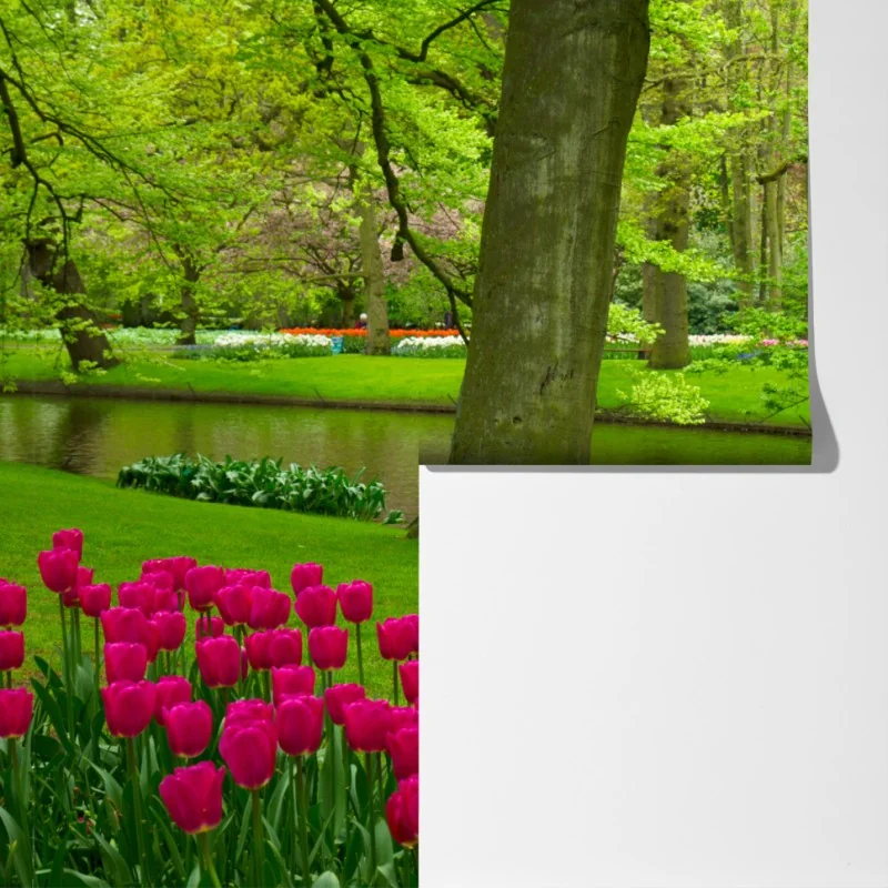Fototapeta wiosenny ogród tulipanów nad kanałem – Wallissimo® Fototapeta wiosenny ogród tulipanów nad kanałem – Wallissimo®