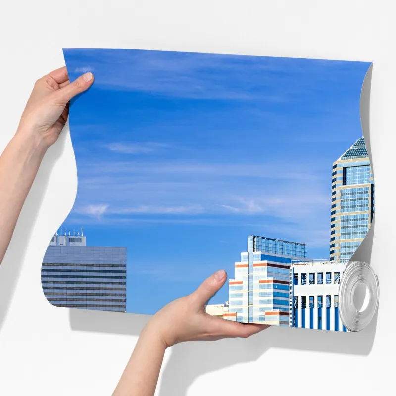 Fototapeta panorama Jacksonville z niebieskim mostem – Wallissimo® Fototapeta panorama Jacksonville z niebieskim mostem – Wallissimo®