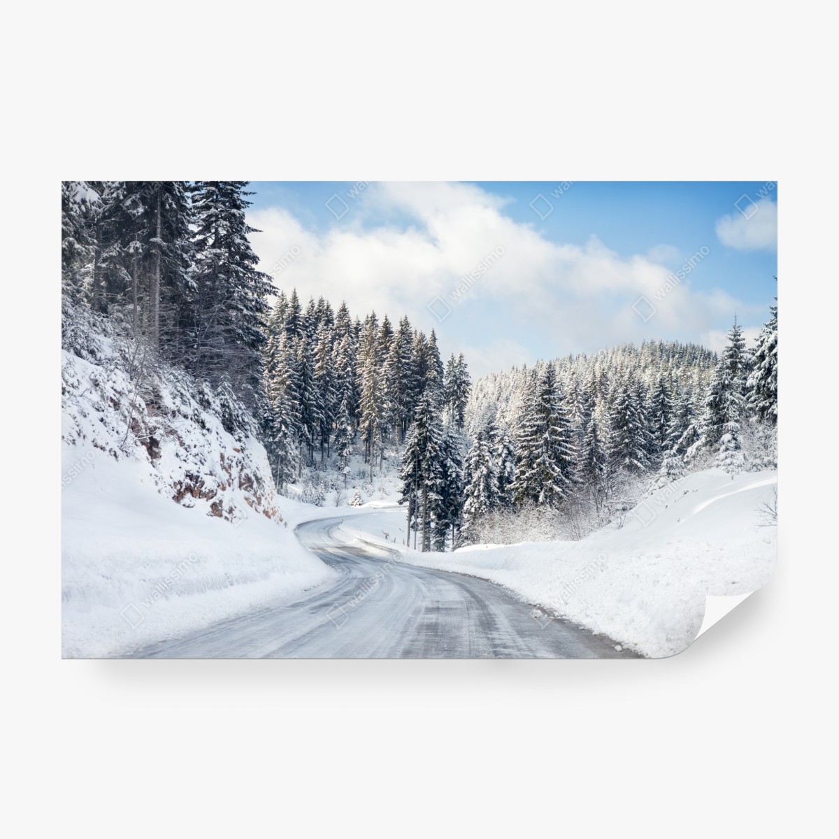 Fototapeta zimowa droga w zaśnieżonym lesie – Wallissimo® Fototapeta zimowa droga w zaśnieżonym lesie – Wallissimo®