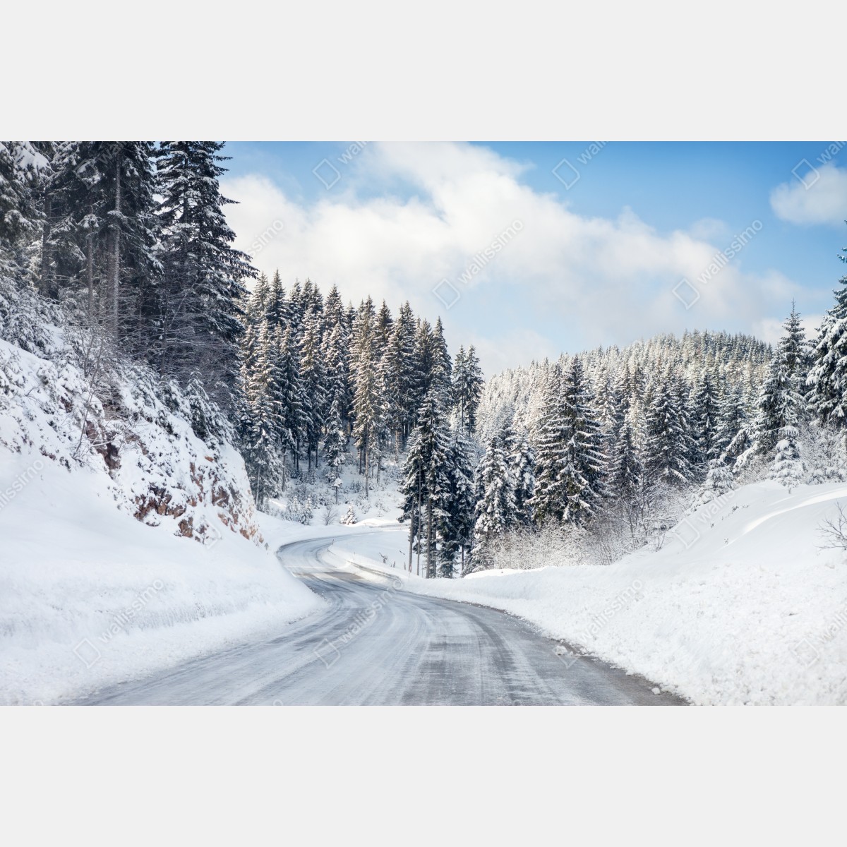 Fototapeta zimowa droga w zaśnieżonym lesie – Wallissimo® Fototapeta zimowa droga w zaśnieżonym lesie – Wallissimo®