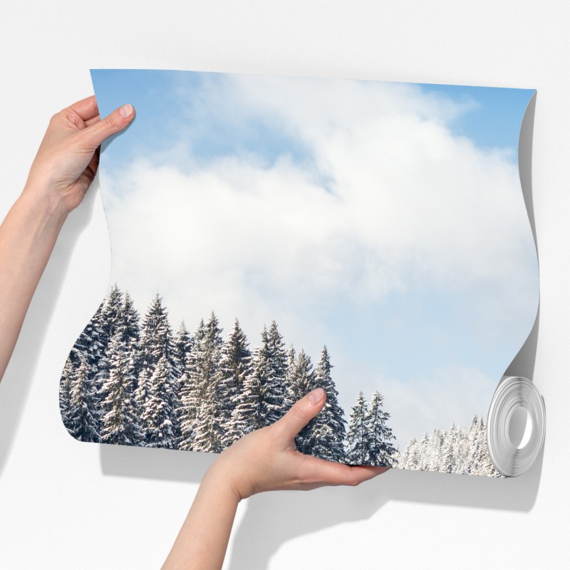 Fototapeta zimowa droga w zaśnieżonym lesie – Wallissimo® Fototapeta zimowa droga w zaśnieżonym lesie – Wallissimo®