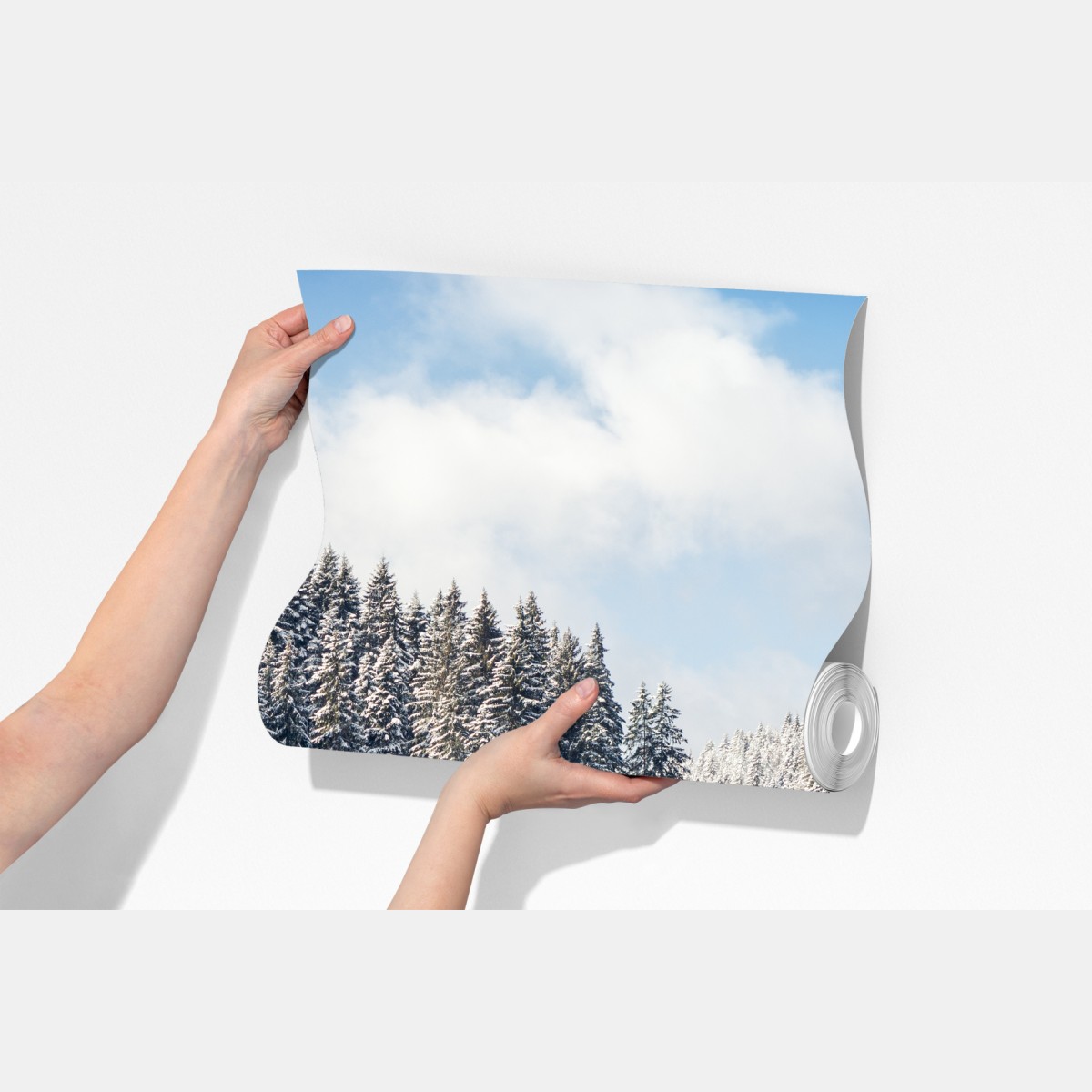 Fototapeta zimowa droga w zaśnieżonym lesie – Wallissimo® Fototapeta zimowa droga w zaśnieżonym lesie – Wallissimo®