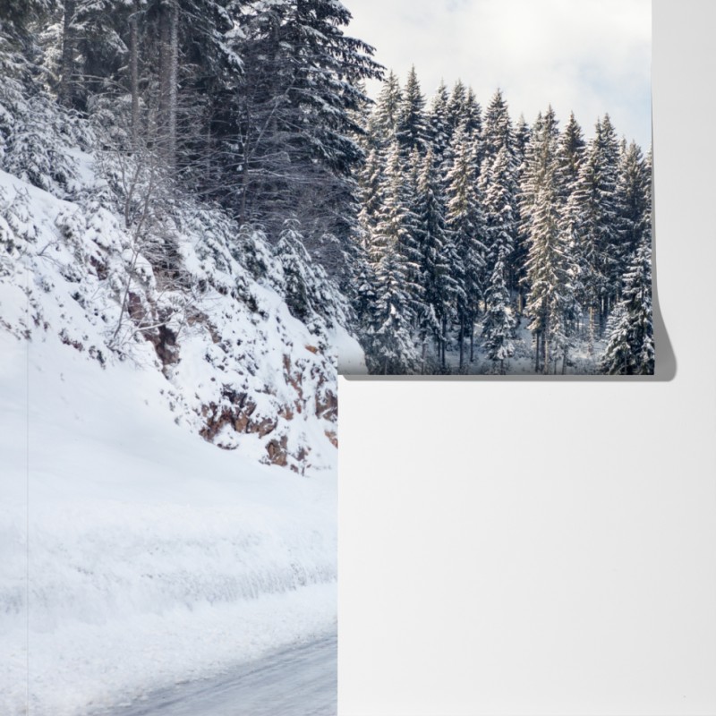 Fototapeta zimowa droga w zaśnieżonym lesie – Wallissimo® Fototapeta zimowa droga w zaśnieżonym lesie – Wallissimo®