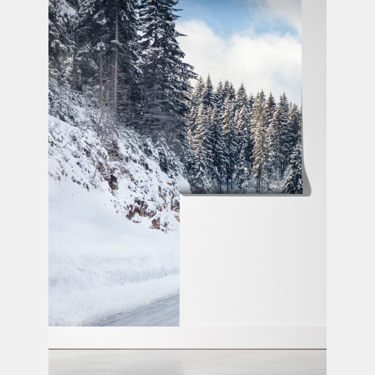 Fototapeta zimowa droga w zaśnieżonym lesie – Wallissimo® Fototapeta zimowa droga w zaśnieżonym lesie – Wallissimo®